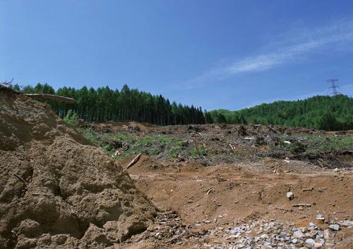 矿山土壤修复矿山土壤污染防治的特点是什么？